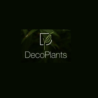 Deco Plants Profile Picture