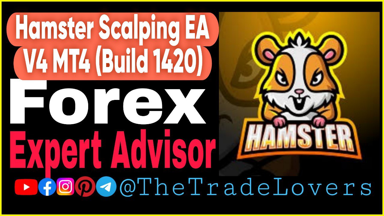 Hamster Scalping EA V4.0 MT4 No DLL (Platform Build 1420) | Forex Robot | MT4 Expert Advisor - Payhip