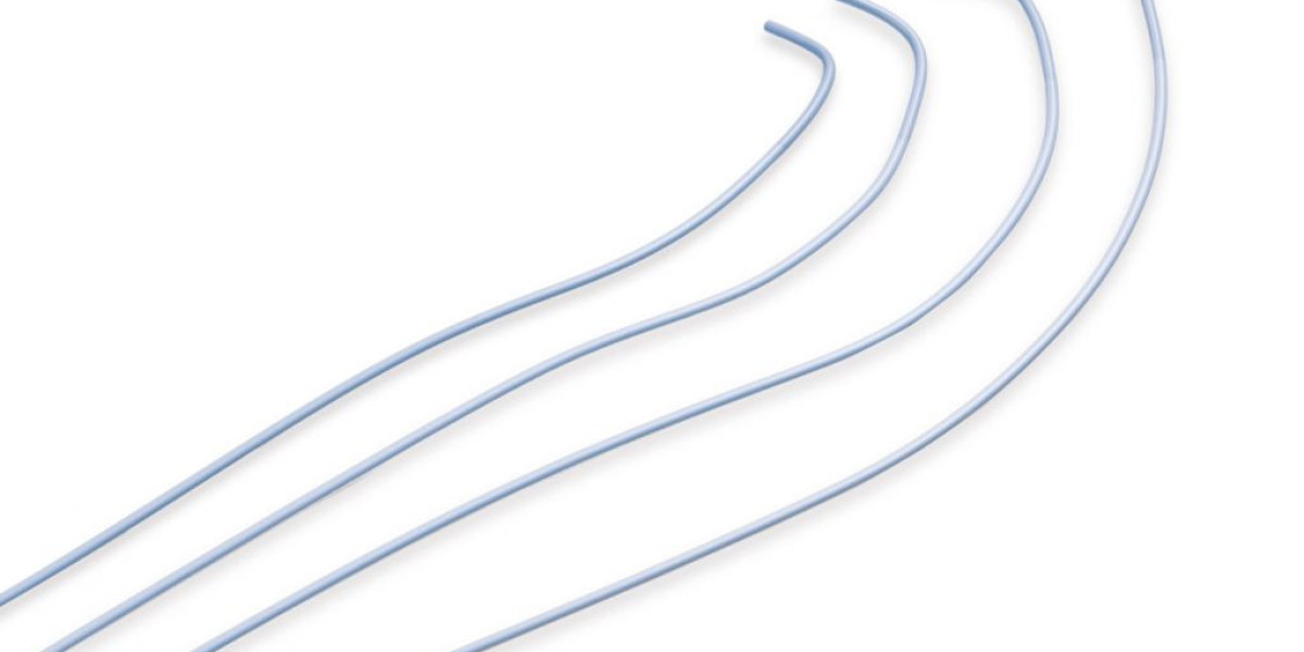 Global Diagnostic Catheters Market: Trends, Growth, and Future Projections