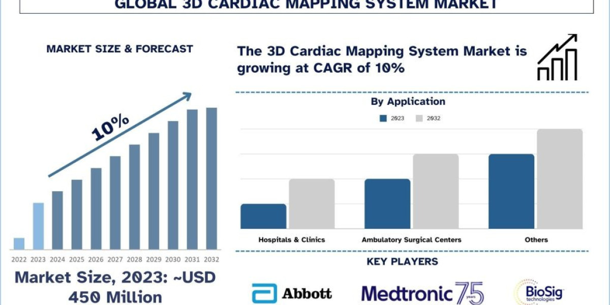 Global 3D Cardiac Mapping System Market Analysis by Growth, Trends and Forecast (2022–2028) | UnivDatos