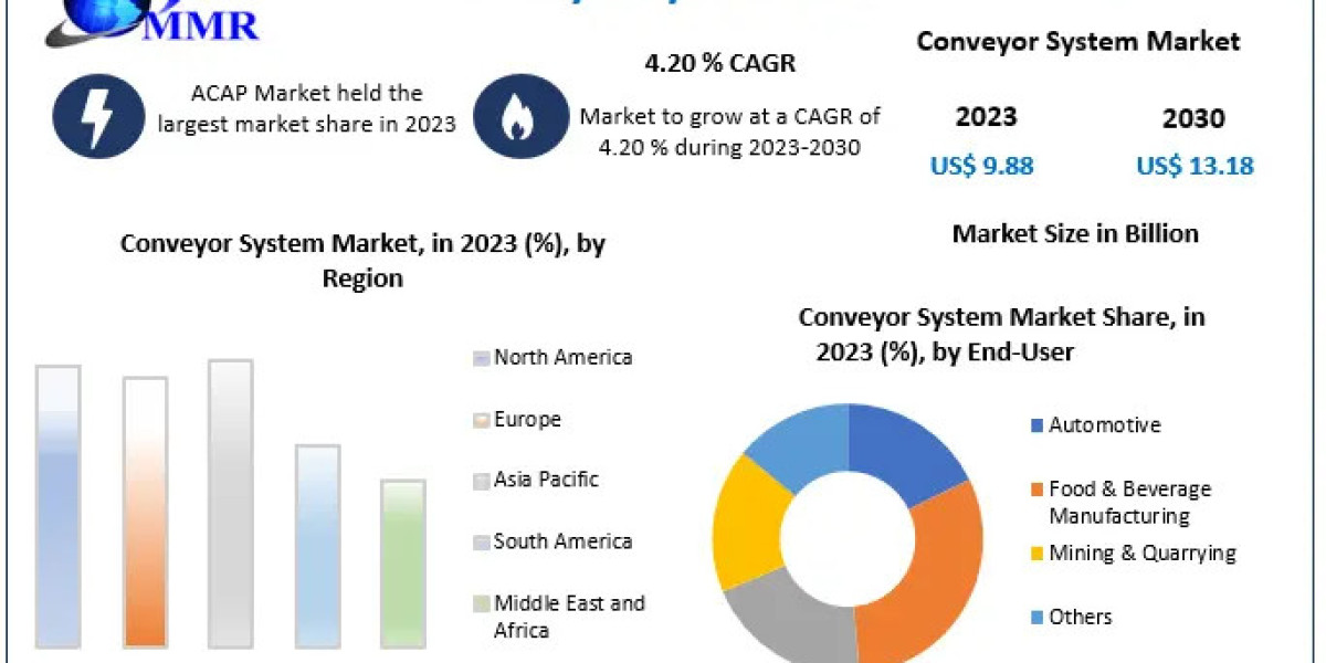 Conveyor System Market Navigating Competitiveness: Development Strategies of Major Players Explored