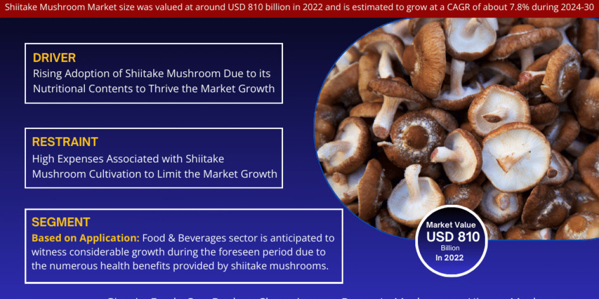 Shiitake Mushroom Market Forecast: USD 810 billion in 2022, Featuring Growing Trends and Opportunities