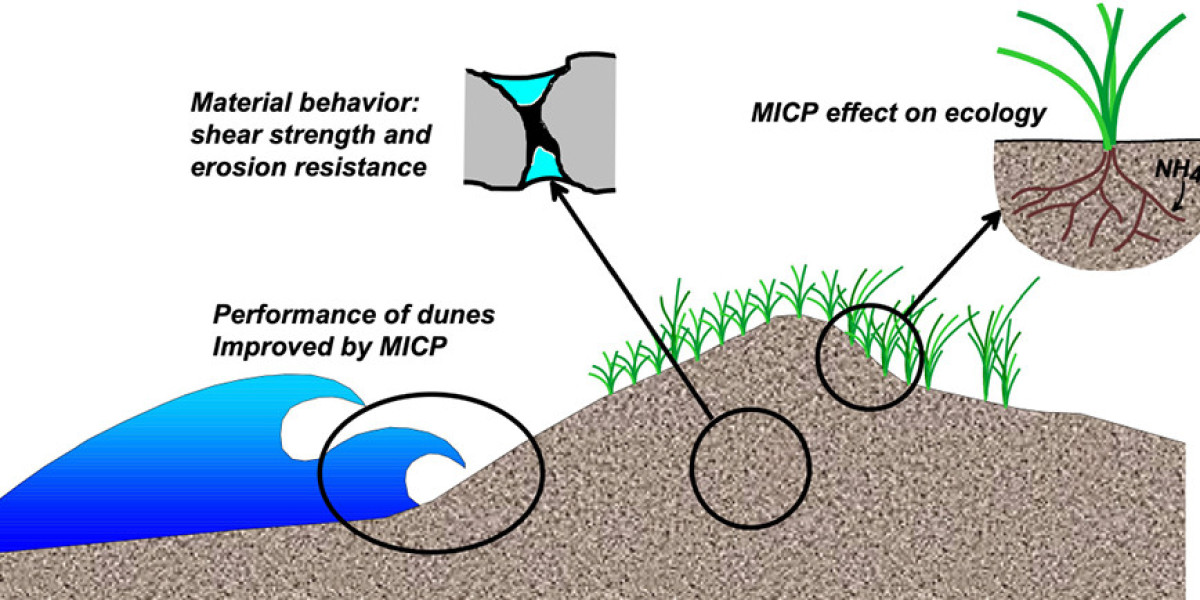 Biocementation Industry Outlook: Market Data & Emerging Technologies