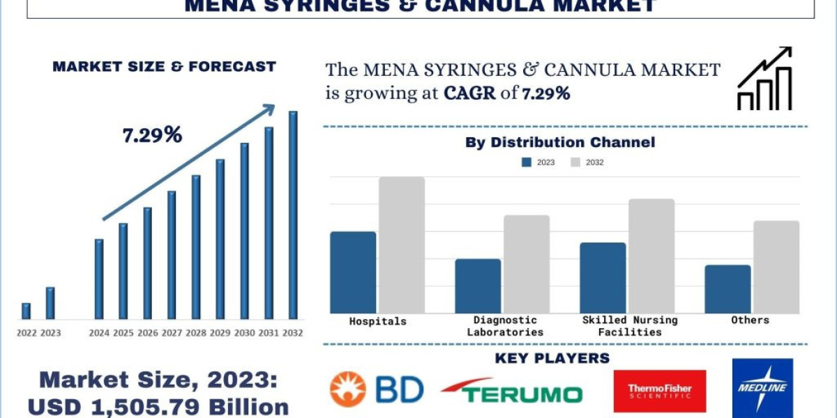 MENA Syringes & Cannula Market Report, Share, Trends & Forecast