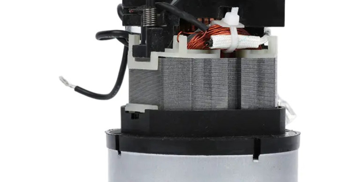The Silent Workhorse: Understanding Dry Suction Mot