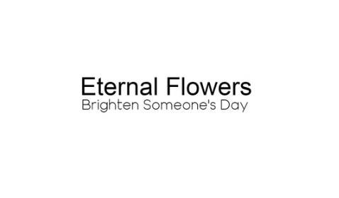 eternalflowers Profile Picture