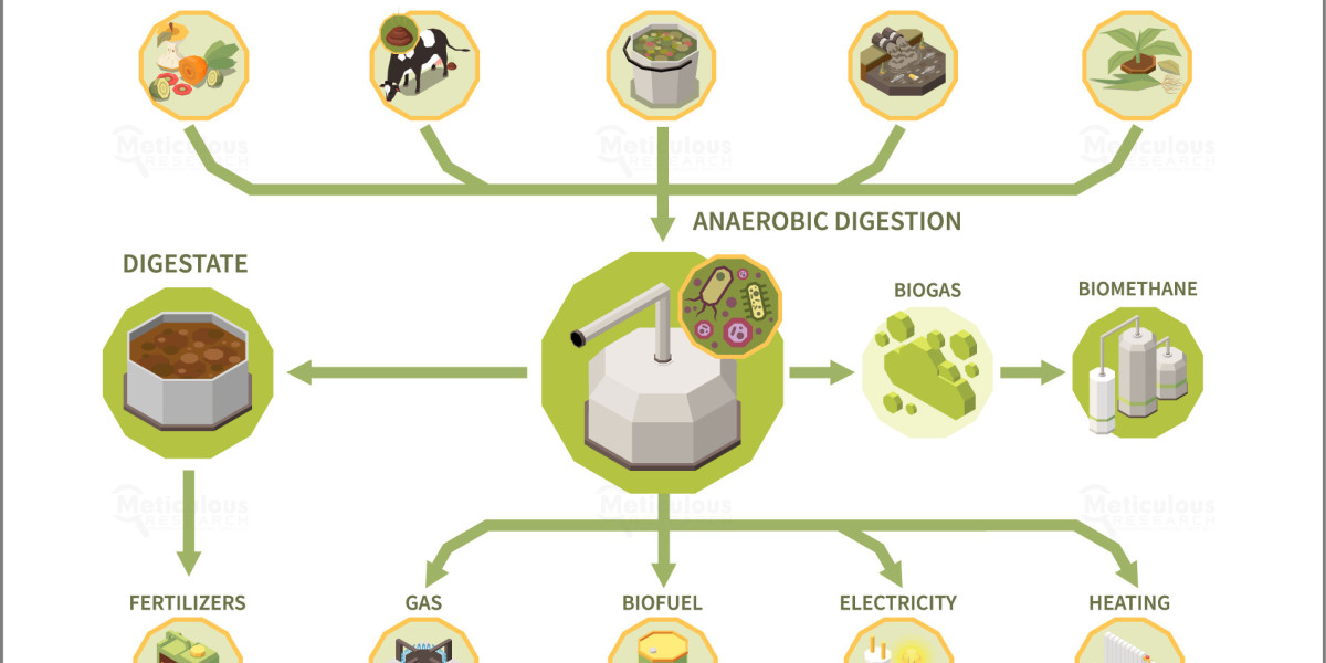 Europe Leads the Charge in Anaerobic Digestion Market Growth as Global Demand Surges