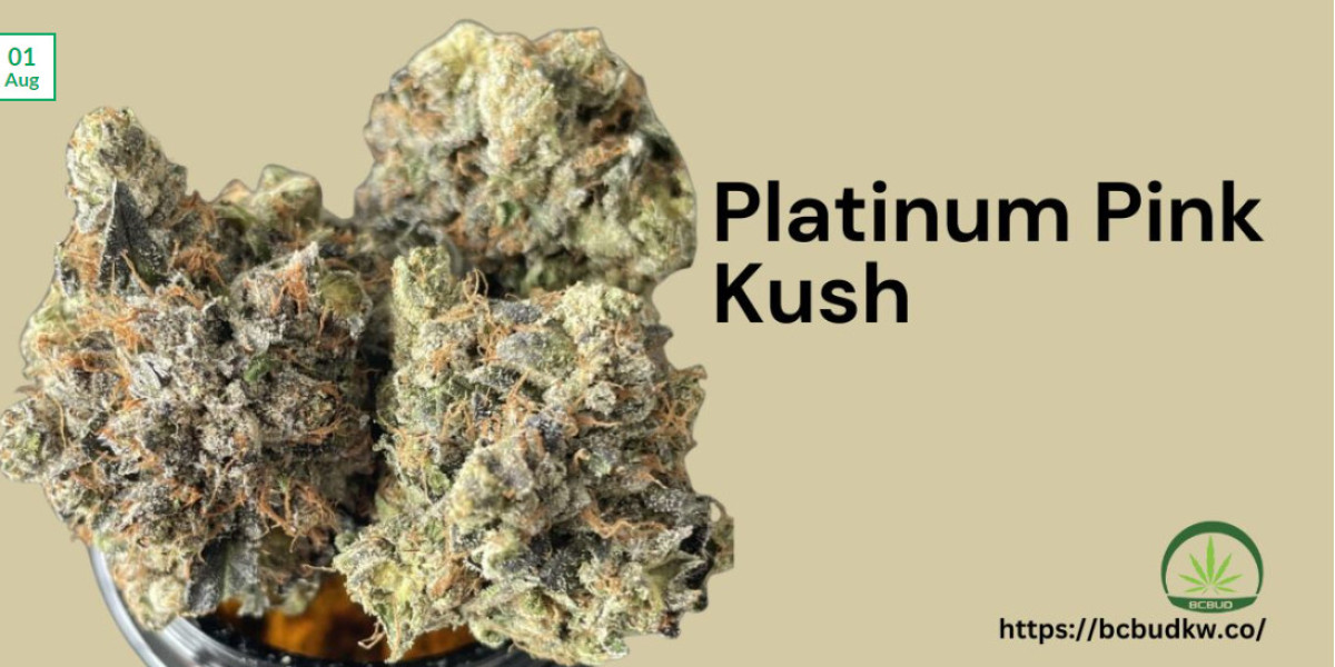 Platinum Pink Kush: A Premium Cannabis Strain You Should Know About