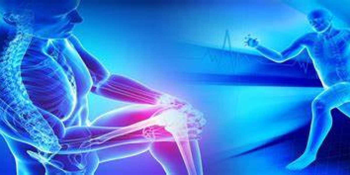 Sports Medicine Companies  Market Size And Forecast Report 2024-2032