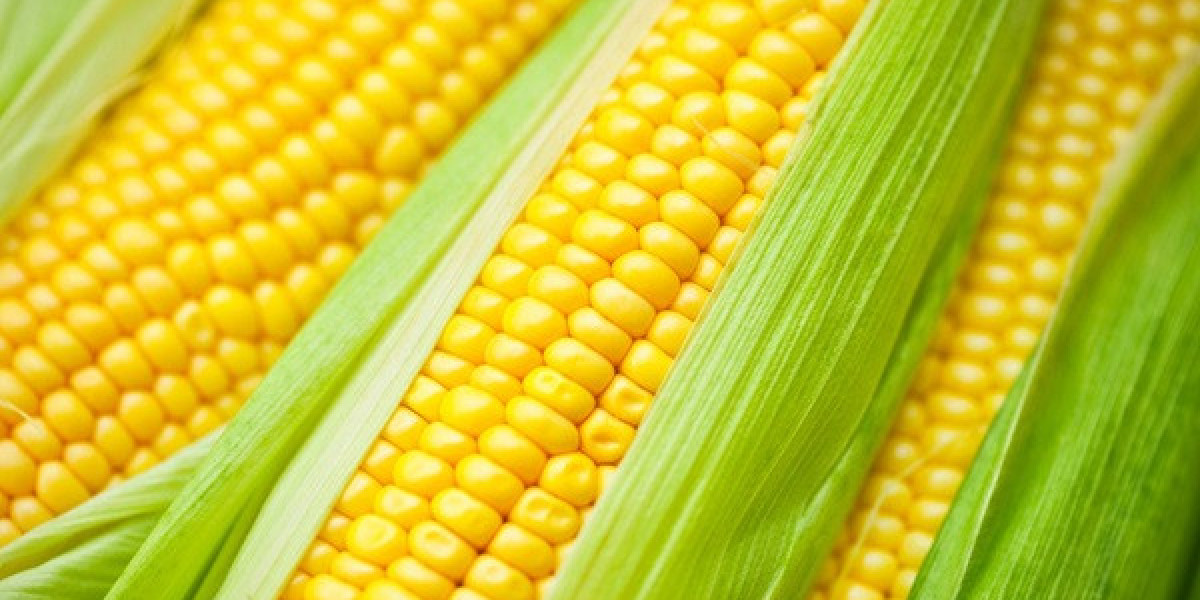 Corn Processing Plant Project Report - Comprehensive Business Plan, and Raw Materials Requirement