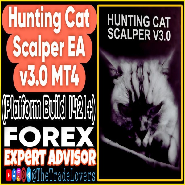 Hunting Cat Scalper EA v3.0 MT4 (Works on Build 1421+) | Forex Robot | MT4 Expert Advisor - The Trade Lovers