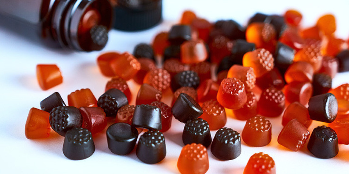 Gummy Vitamins Market Overview, Growth Trends, Segmentation, and Key Players (2024-2031)