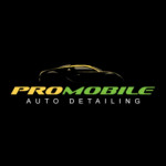 Pro Mobile Auto Detailing profile picture