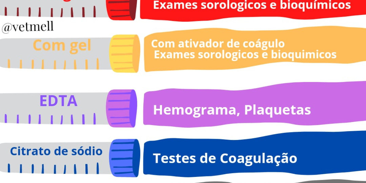 Insuficiencia cardíaca en perros: síntomas y tratamiento