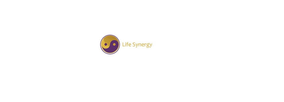 Life Synergy Retreat Cover Image