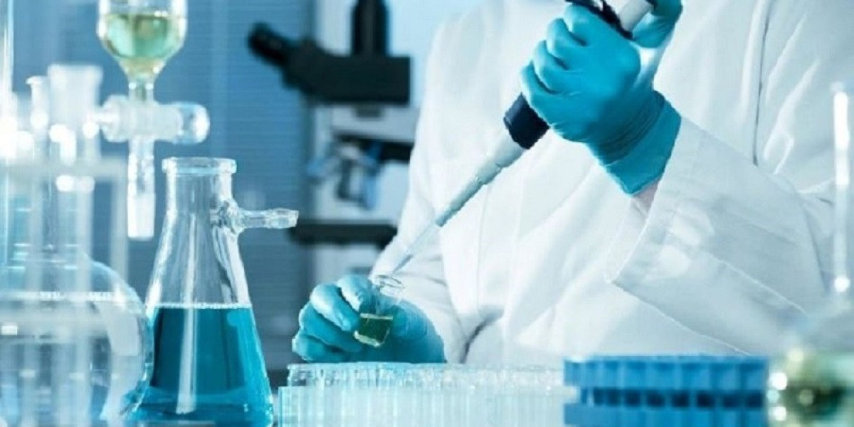 Methional Production Cost Analysis Report 2024: Production Process, Price Trends, and Profit Margins