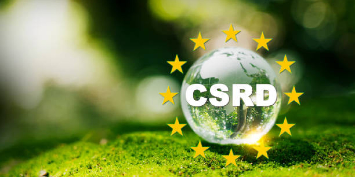 Essential Strategies for Effective CSRD Reporting