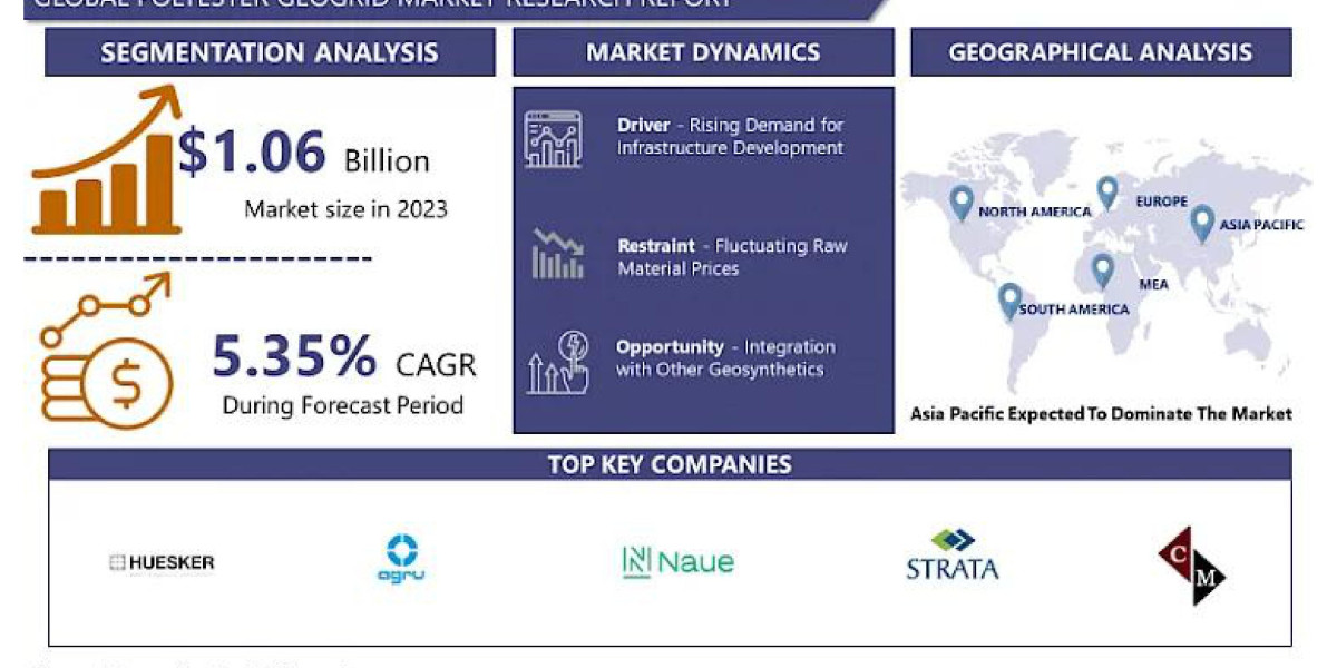 Polyester Geogrid Market Trends: Innovation and Sustainability