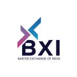 bxiworld_website profile picture