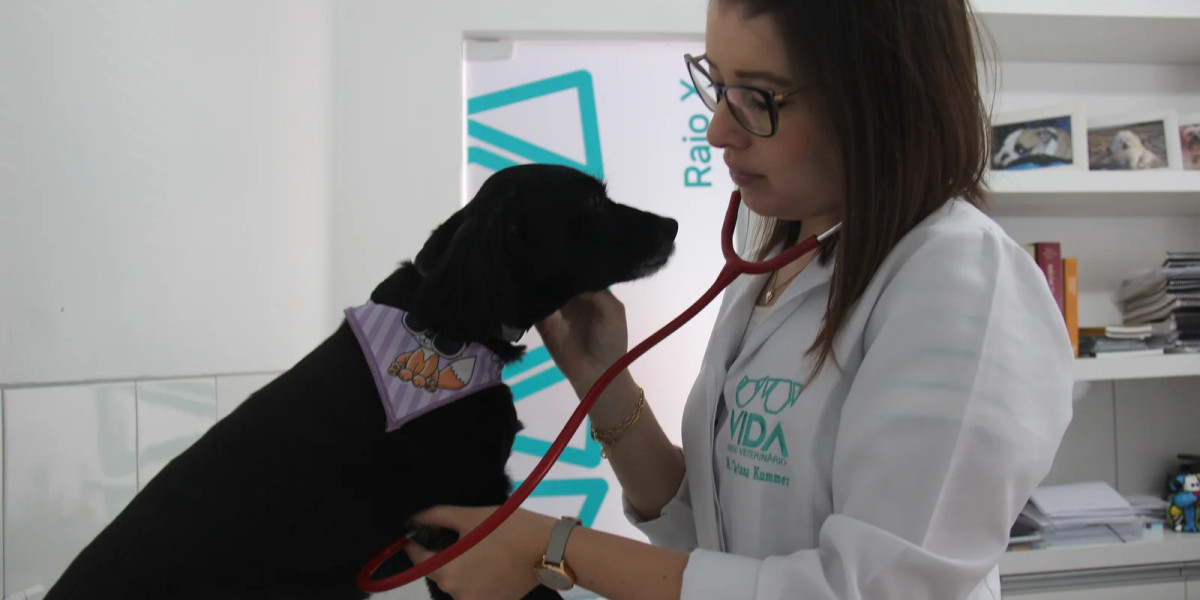 Everything You Need to Know About Pet Echocardiograms Metro Paws Animal Hospital