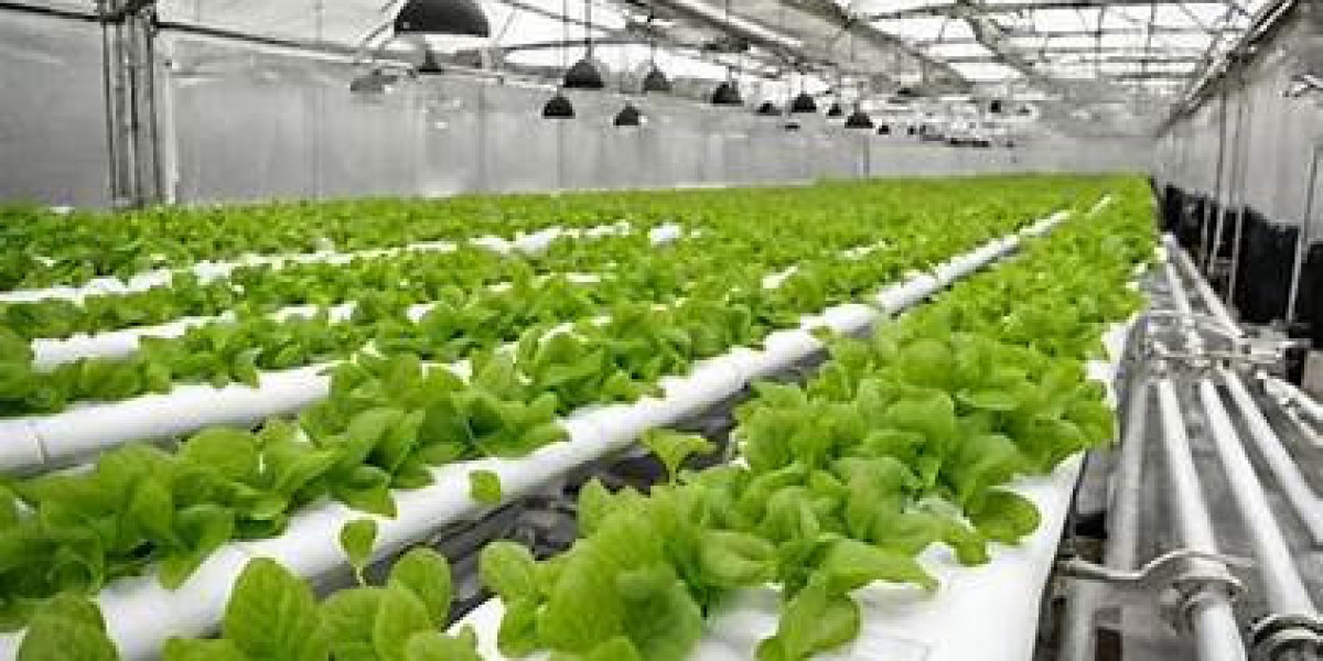 United States Hydroponics Market Analysis And Forecast Report 2024-2032