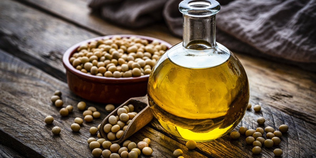 Vegetable Oil Plant Project Report 2024: Business Plan, and Investment Opportunities
