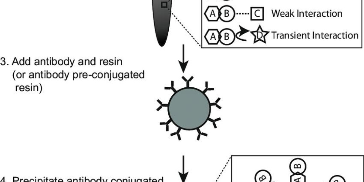 Co-Immunoprecipitation: Principles and Applications