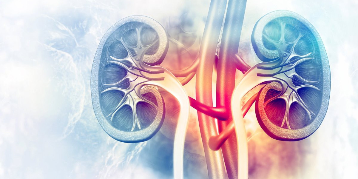 Kidney Fibrosis Treatment Market Poised for Growth as Research into Anti-fibrotic Therapies Advances