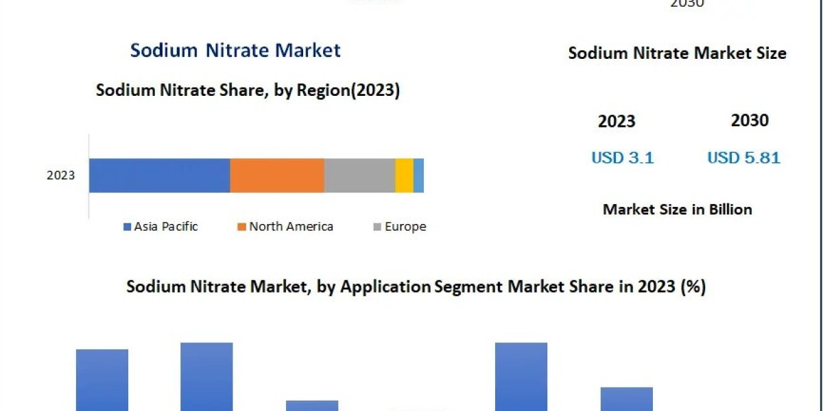 Sodium Nitrate Market: Trends, Applications, and Growth Opportunities Across Industries