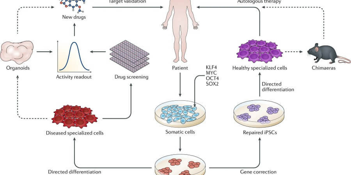 The Global Induced Pluripotent Stem Cells Production Market: Growth, Trends, and Future Insights