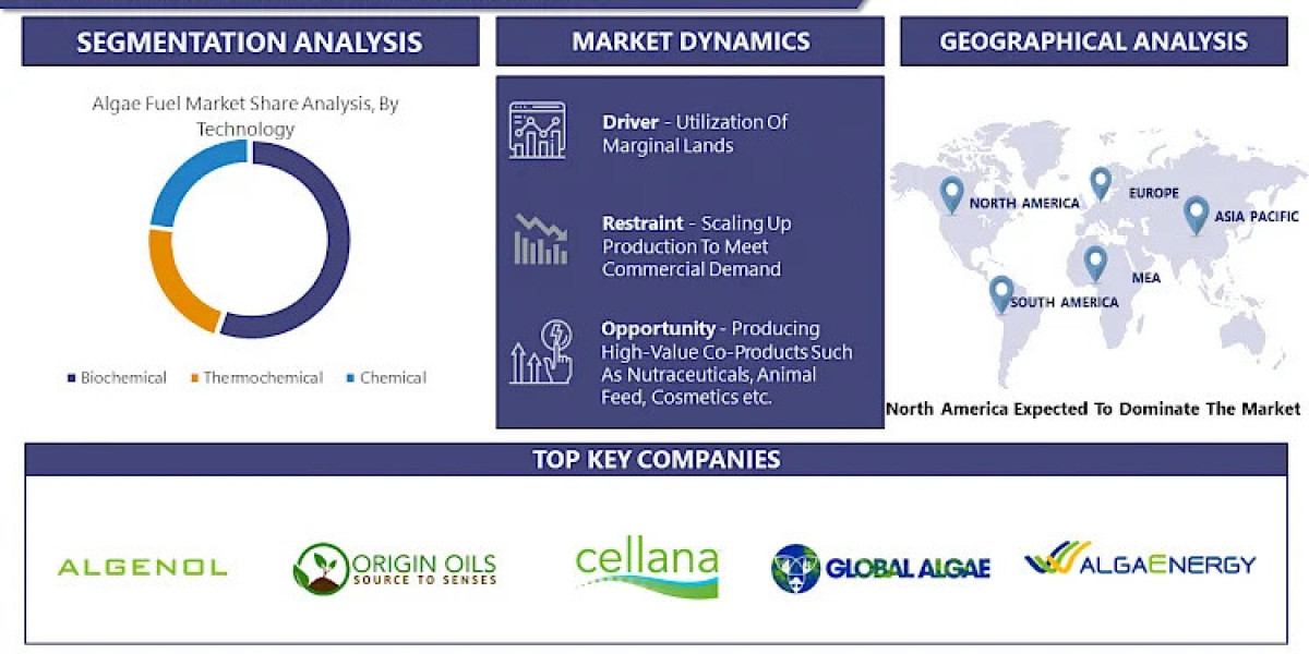 Algae Fuel Market Size, Share and Growth Analysis By 2032 | IMR