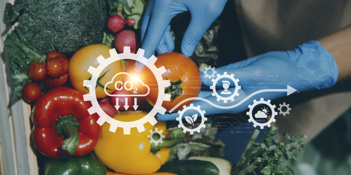 Food Certification Market 2023 Global Industry Analysis With Forecast To 2032
