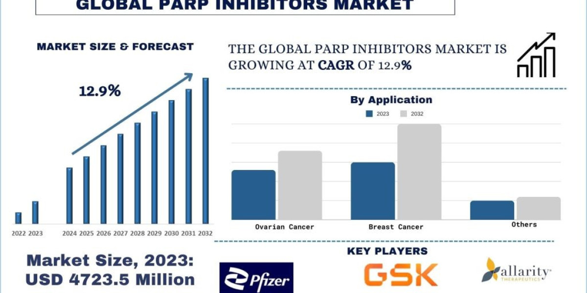 PARP Inhibitors Market Growth and Forecast (2024-2032) | UnivDatos