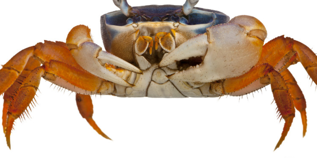 Global Crab Market Size And Forecast 2024-2032