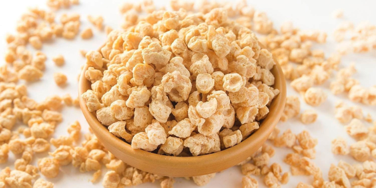 Global Textured Vegetable Protein Market Growth,  Forecast  2022 – 2032