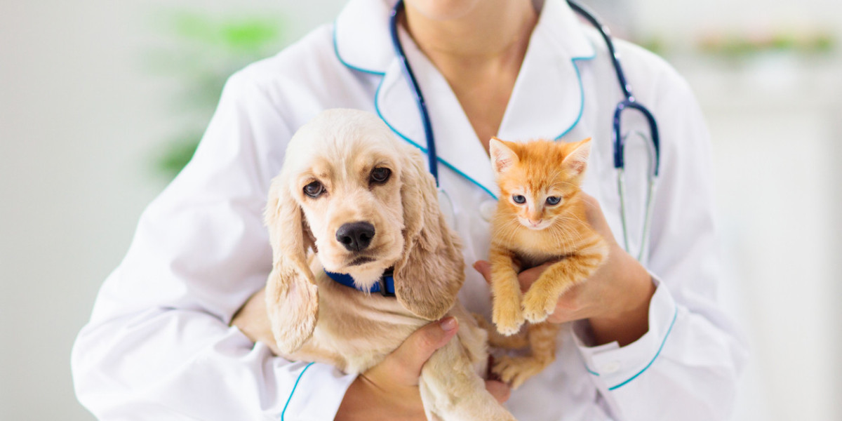 Pet Insurance Market Business Growth, Development Factors, Current and Future Trends till 2034.