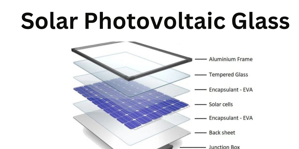 Top Players in the Solar Photovoltaic Glass Industry: A Comprehensive Overview