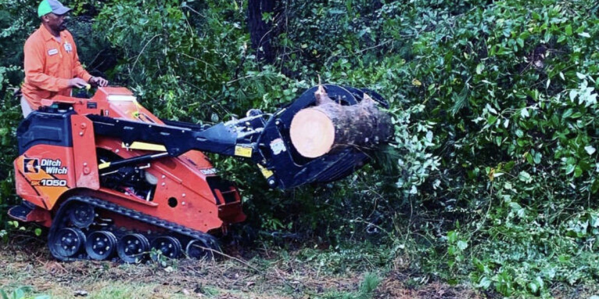 Mississippi Tree Removal Service: Your Trusted Partner for Tree Services in Mississippi