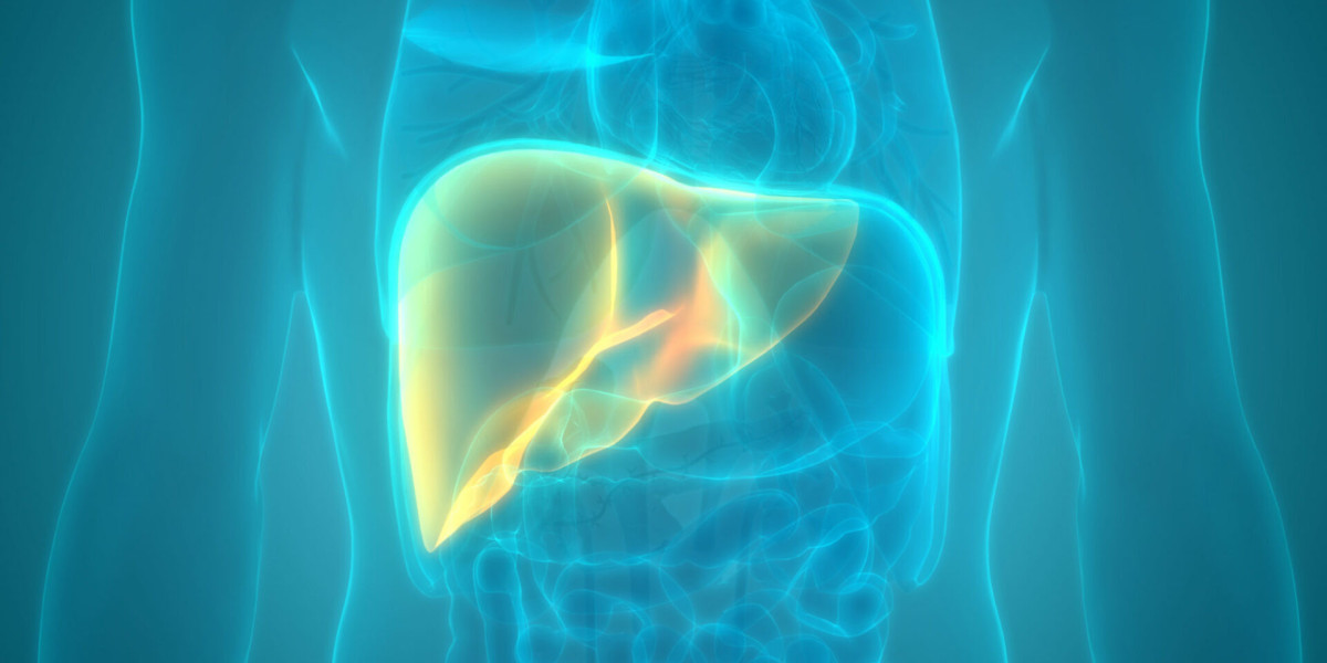 Non-alcoholic Steatohepatitis Treatment Market Overview, Growth Trends, Segmentation, Key Players (2024-2031)
