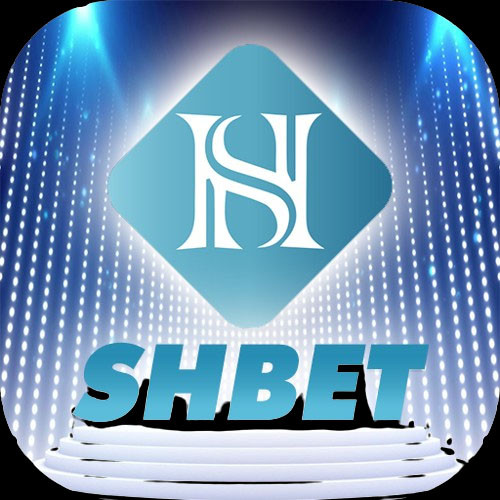 Shbet88 Casino Profile Picture