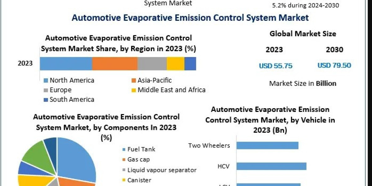 Competitive Landscape: Key Players and Innovations in the Global EVAP System Market