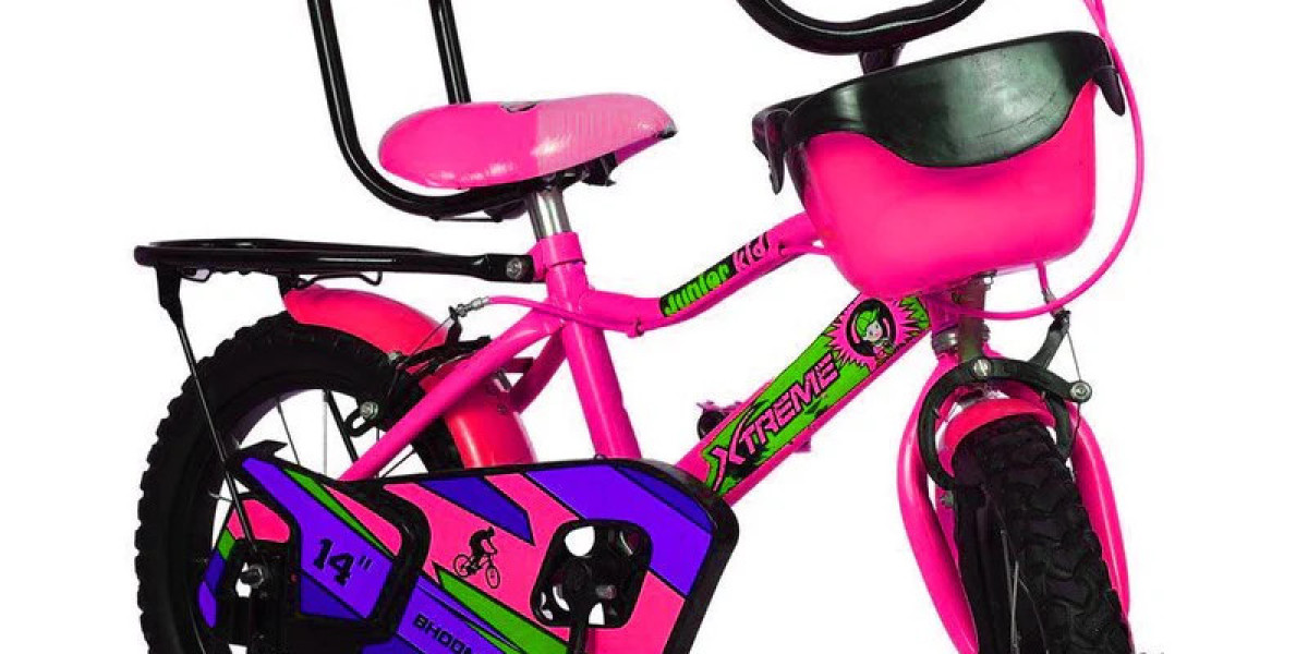 Top Players and Innovations in the Global Kids Bicycle Market