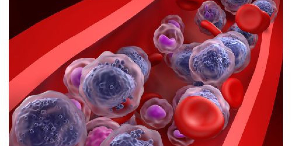 Olutasidenib Market Share, Size, Analysis, Growth, Industry Statistics and Forecast 2034