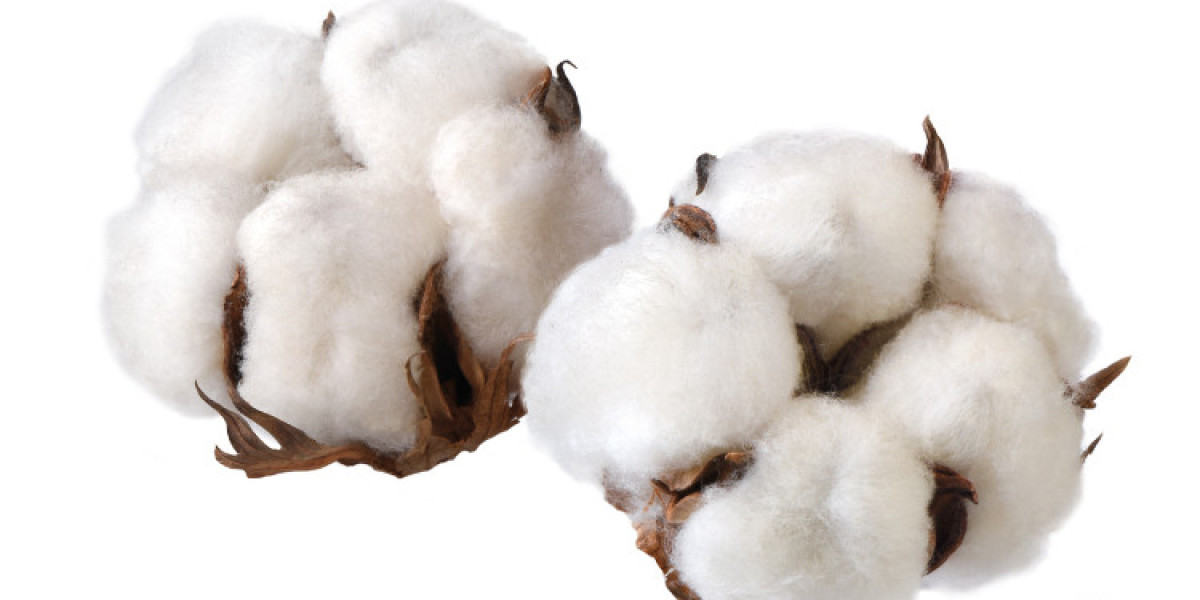 Cotton Market Size And Forecast 2024-2032