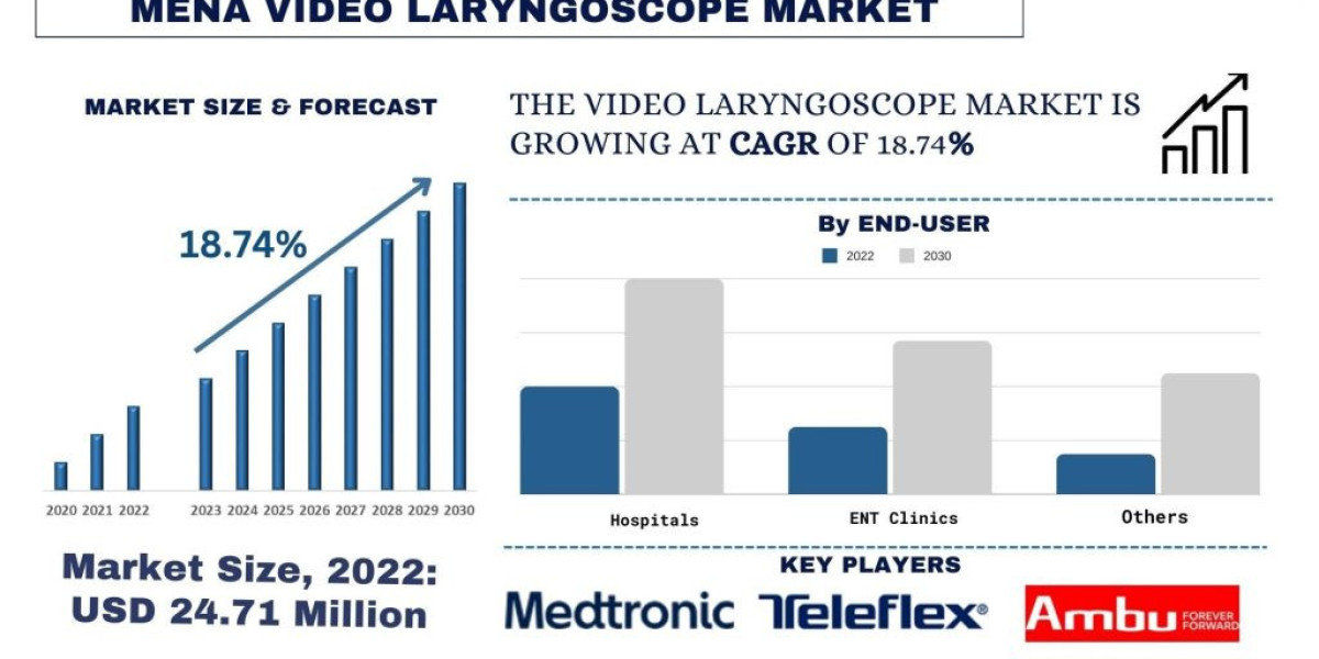 MENA Video Laryngoscope Market Analysis by Size, Share, Growth, Trends, Opportunities and Forecast (2024-2032) | UnivDat