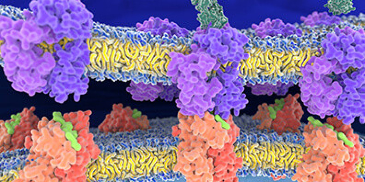 The Importance of Antimicrobial Peptides, Cell Penetrating Peptides, and Peptide Synthesis in Scientific Studies