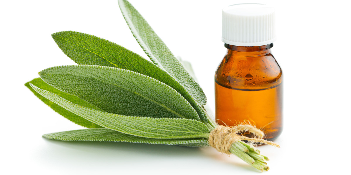 The Benefits, Uses, and Recommendations of Organic Sage Oil in Your Daily Routine