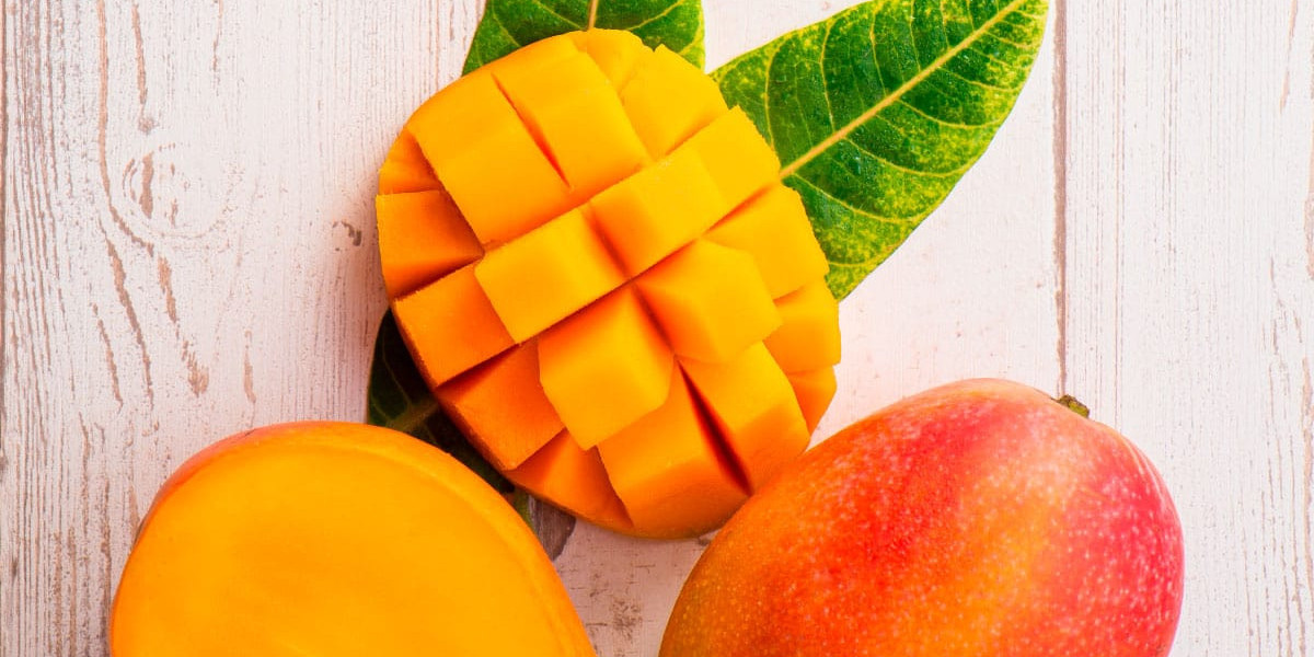 Mango Processing Plant Report 2024, Project Economics, and Raw Materials Requirement