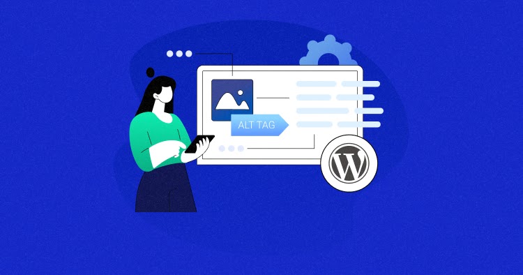 Top WordPress SEO Plugins to Boost Your Website’s Performance in 2024