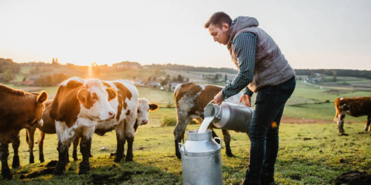 Organic Milk Market Size, Share, Industry Growth, Forecast and Outlook (2024-2031)